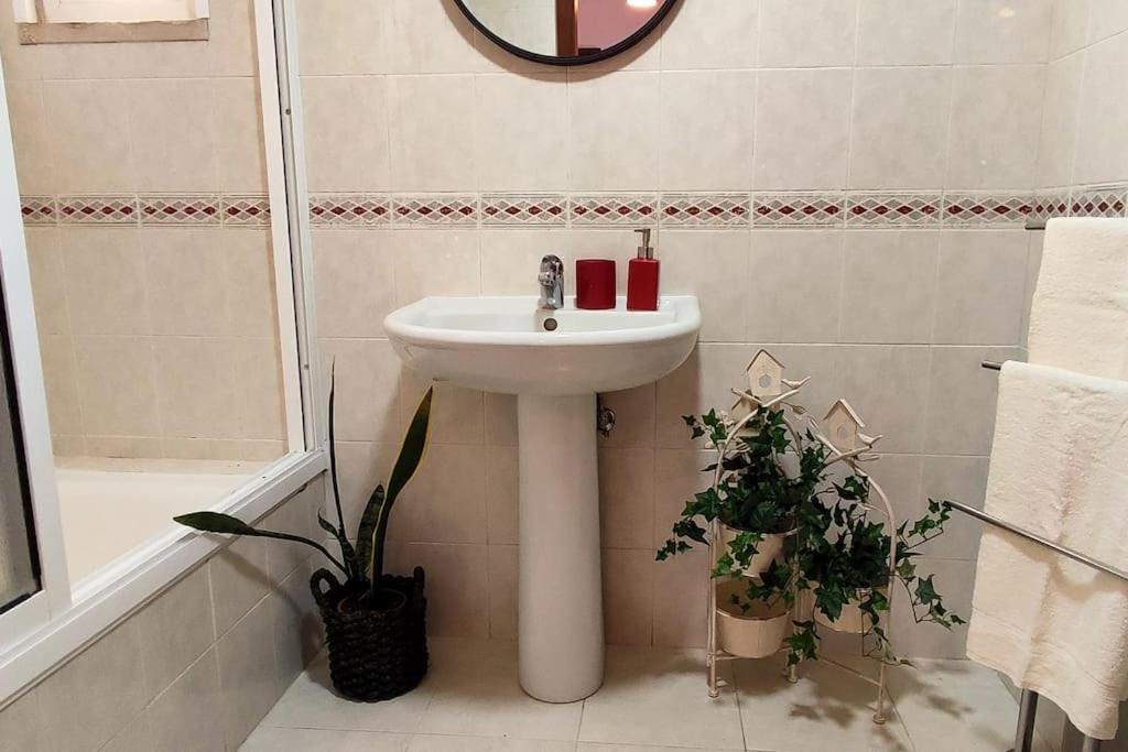 Jardim Sol Holiday Apartment فونشال المظهر الخارجي الصورة